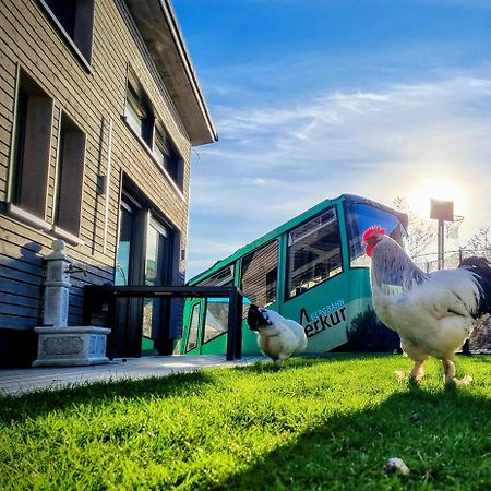 Exklusives Holzhaus Mit Bergbahn - Baden-Baden Im Schwarzwald Villa Luaran gambar