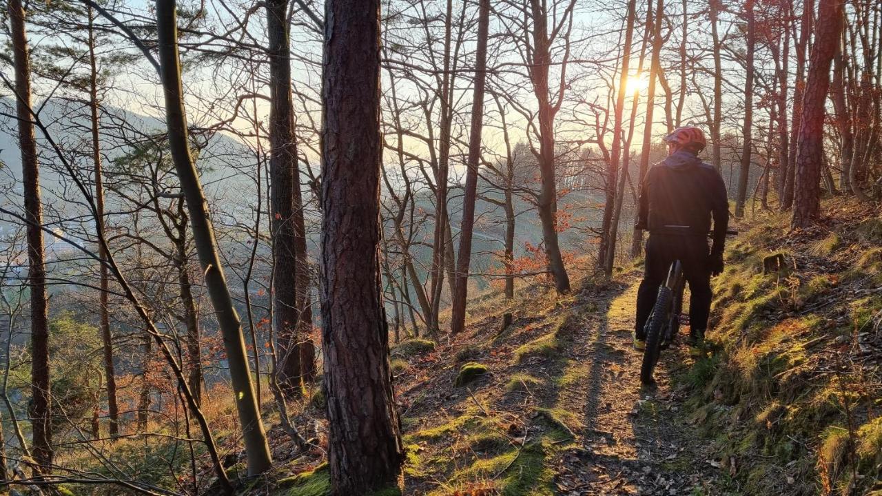 Exklusives Holzhaus Mit Bergbahn - Baden-Baden Im Schwarzwald Villa Luaran gambar